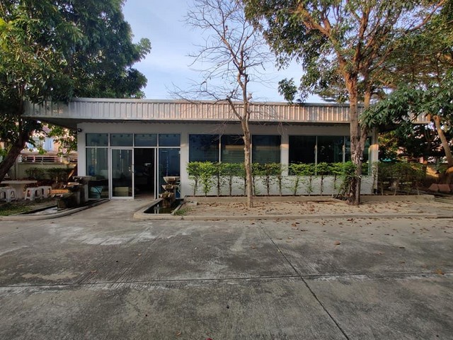 C2077 ขายโรงงาน โกดัง 3 ไร่ พื้นที่สีเขียว ลำลูกกา ปทุมธานี ใกล้ตลาดชัชวาล คลอง7