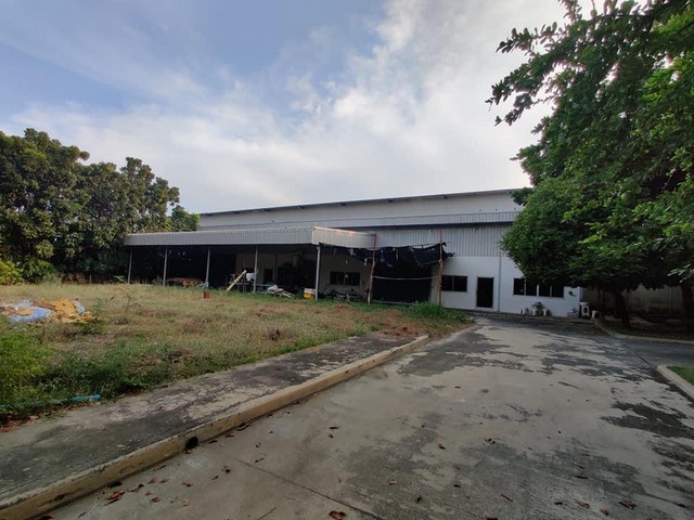 C2077 ขายโรงงาน โกดัง 3 ไร่ พื้นที่สีเขียว ลำลูกกา ปทุมธานี ใกล้ตลาดชัชวาล คลอง7