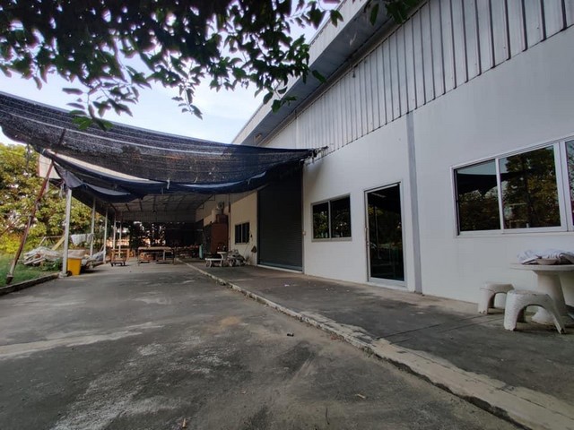 C2077 ขายโรงงาน โกดัง 3 ไร่ พื้นที่สีเขียว ลำลูกกา ปทุมธานี ใกล้ตลาดชัชวาล คลอง7