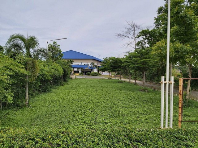 C2080 ขายโรงงานเนื้อที่ 9 ไร่ ใกล้นิคมอุตสาหกรรมอมตะนครชลบุรี เฟส 10