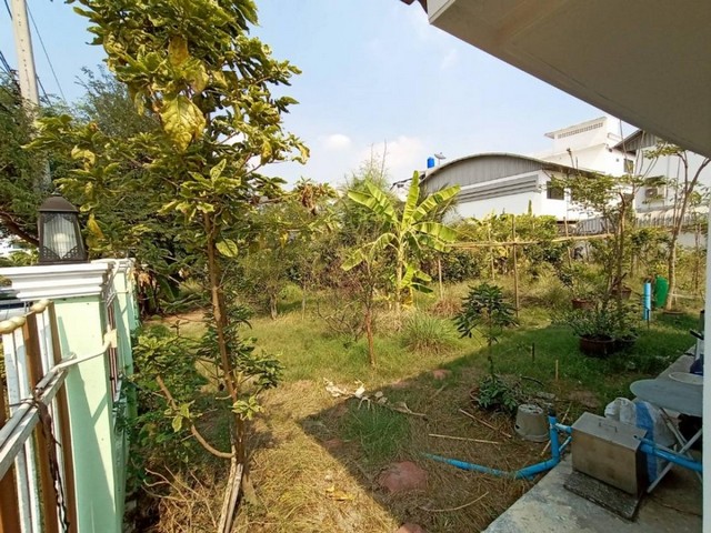 C2635 ขายโรงงานเย็บผ้า พื้นที่สีม่วง พุทธมณฑล ศาลายา ศาลาธรรมสพน์