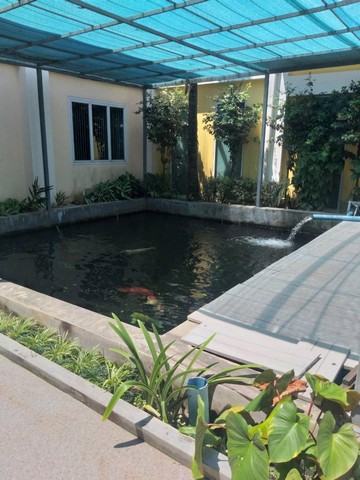 C3388 ขายโรงงานเย็บผ้า 3 ไร่ พระราม 2 บางขุนเทียน บางกระดี่