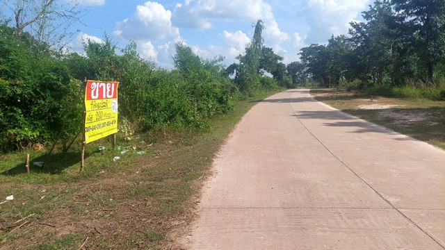 ขายที่ดินสวย ติดหนองกอมเกาะ 200 ตร.วา   ต.หนองกอมเกาะ อ.เมือง จ.หนองคาย   ZP081