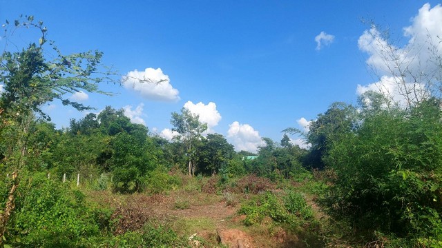 ขายที่ดินสวย ติดหนองกอมเกาะ 200 ตร.วา   ต.หนองกอมเกาะ อ.เมือง จ.หนองคาย   ZP081