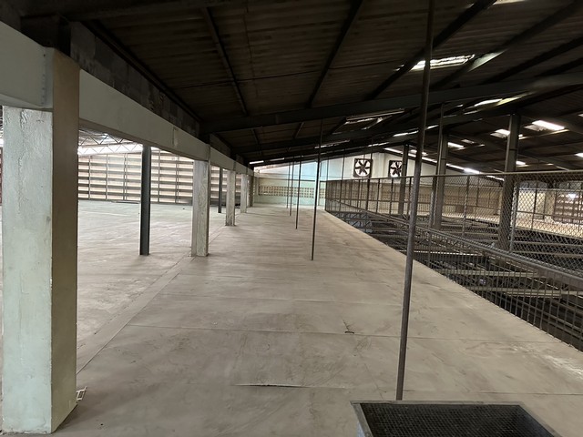 ให้เช่าโกดังโรงงาน1 ไร่2 งาน 37 ตร.ว. พื้นที่ใช้สอยรวม 3,520 ตร.ม. รถคอนเทนเนอร์เข้าได้ติดถนน ใหญ่  ย่านพระราม2 บางกระดี่ แสมดำ บางขุนเทียน