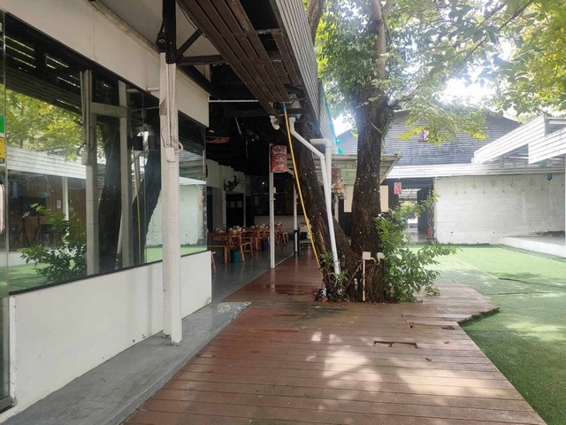 เซ้ง เช่าร้านหม่าล่ากบ ปลา หม่าล่าหม้อ ไฟพร้อมอุปกรณ์ ต.วิชิต อ.เมือง จ.ภูเก็ต 