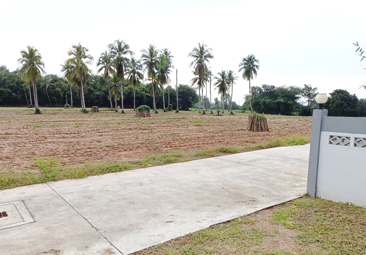 ขายด่วนที่ดินถมแล้วพร้อมรั้ว 200 ตารางวา อ.ศรีราชา จ.ชลบุรี