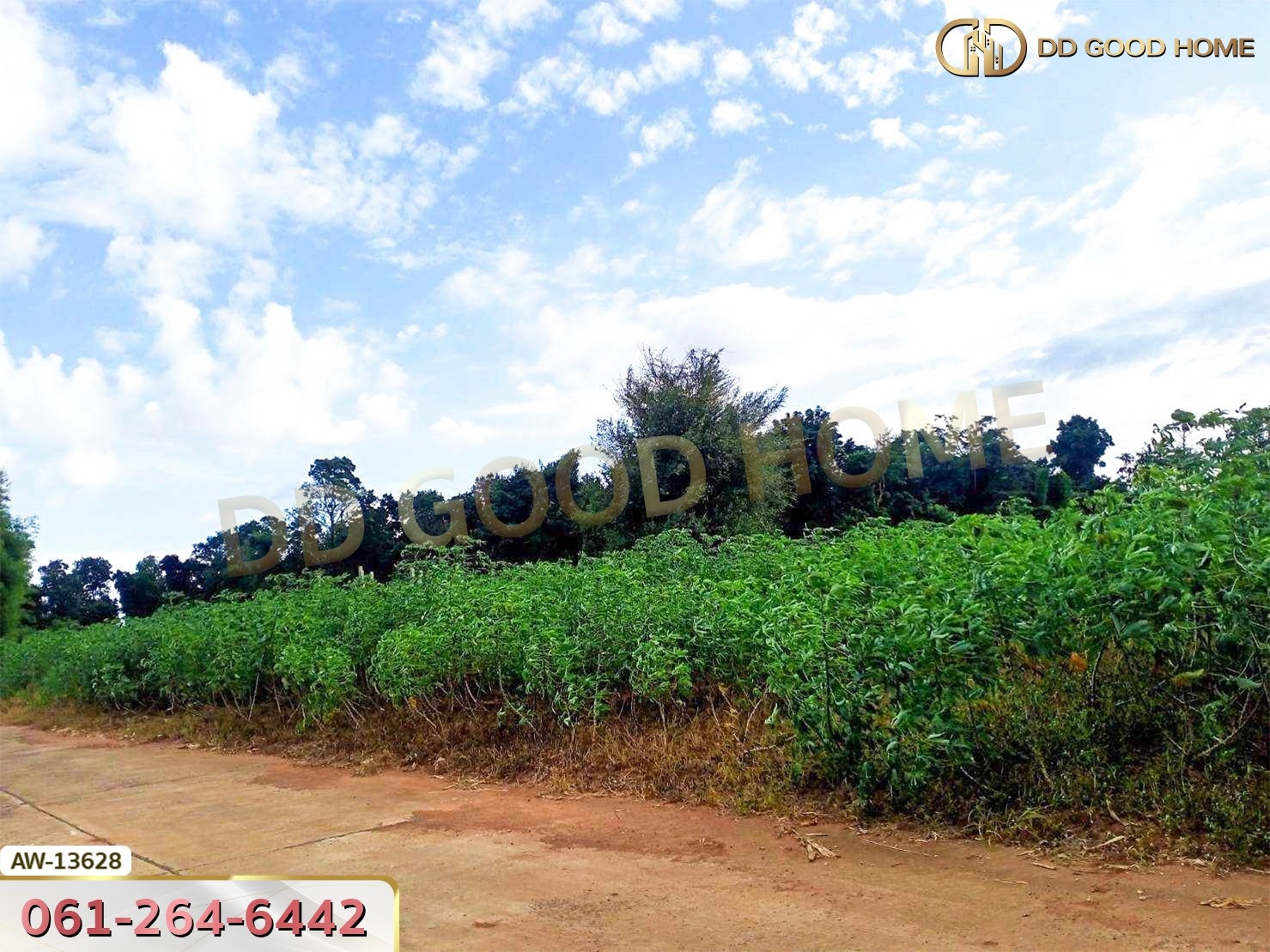 ที่ดินขนาด 26 ไร่ 283 ตร.ว. ถ.ราชสีมา-โชคชัย หลังสถานีอนามัยกุดโบสถ์ นครราชสีมา
