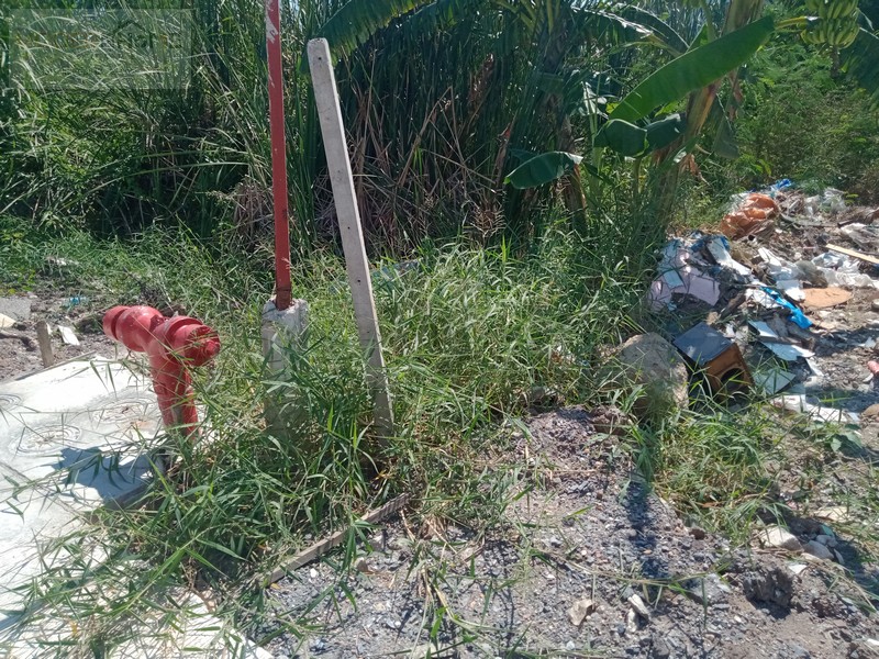 ขายที่ดินถมแล้วซอยสุขาภิบาล 5 ซอย 5 แยก 4 เนื้อที่ 199 ตร.ว. ถนนสุขาภิบาล 5  เขตบางเขน