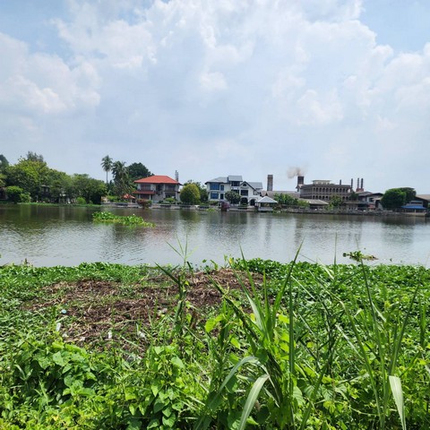 พื้นที่ดิน - 18900000 THB  พ.ท. 1 Rai 1 Ngan 58 ตารางวา ใกล้ โรงพยาบาลวัดไร่ขิง วัดไร่ขิง บ้านวังพรม ราคาคุ้มสุดเวอร์