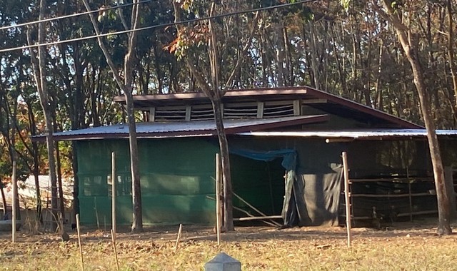 ขายบ้านเดี่ยว   หมู่บ้านบ้านทรัพย์เจริญ  เลย  (PKK02-15064)