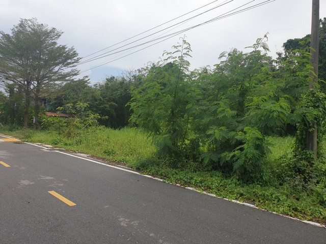 พื้นที่ดิน -  10000 บาท   อสังหาดี