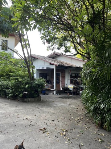 ขายที่ดินพร้อมโกดังและบ้าน 401 ตร.ว. ซอยแบริ่ง 66 ถนนสุขุมวิท 107 ซอยศรีด่าน9 สมุทรปราการ   