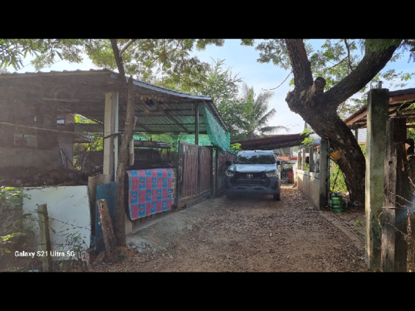 ขายบ้านพร้อมที่ดิน 2 ชั้น อากาศดี ใกล้โรงเรียนขอนแก่นวิเทศศึกษา (นานาชาติ) ใกล้สนามบินขอนแก่น อำเภอเมืองขอนแก่น จ.ขอนแก่น  