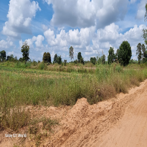 ขายถูกที่ดิน 1งาน 58 ตร.ว บ้านแดงใหญ่ ใกล้สนามบิน มหาวิทยาลัยขอนแก่น ทำเลสวย อากาศดี ชุมชนดี เดินทางสะดวก 
