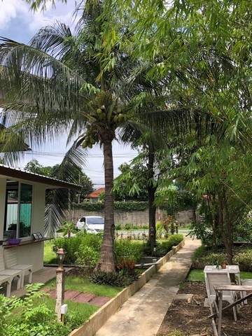 ???????? ขายที่ดิน 92 ตร.ว. ถนนกรุงเทพ-นนท์ (แนวรถไฟฟ้าสายสีม่วง) ราคา 7,820,000 บาท หรือ 80,000 บาท/ตร.ว. ???? 065-586-9872 คุณโดม รัชดา