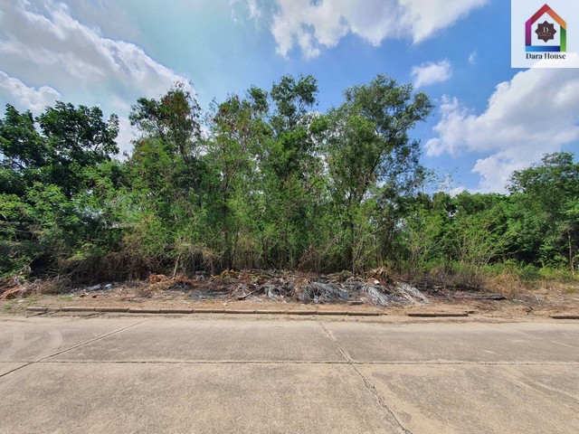 ที่ดิน ขายที่ดิน ต.หลักหก อ.เมืองปทุมธานี จ.ปทุมธานี   5768000 THB ไม่ไกลจาก มหาลัยรังสิต Hot!!