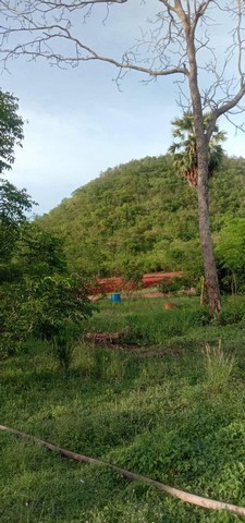 ขายที่ดินตำบลดอนตะโก อำเภอเมือง จังหวัดราชบุรี ขนาด 2 ไร่ 2 งาน 89 ตารางวา