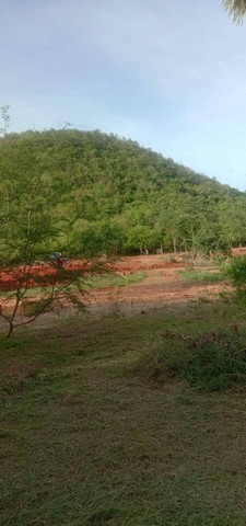 ขายที่ดินตำบลดอนตะโก อำเภอเมือง จังหวัดราชบุรี ขนาด 2 ไร่ 2 งาน 89 ตารางวา