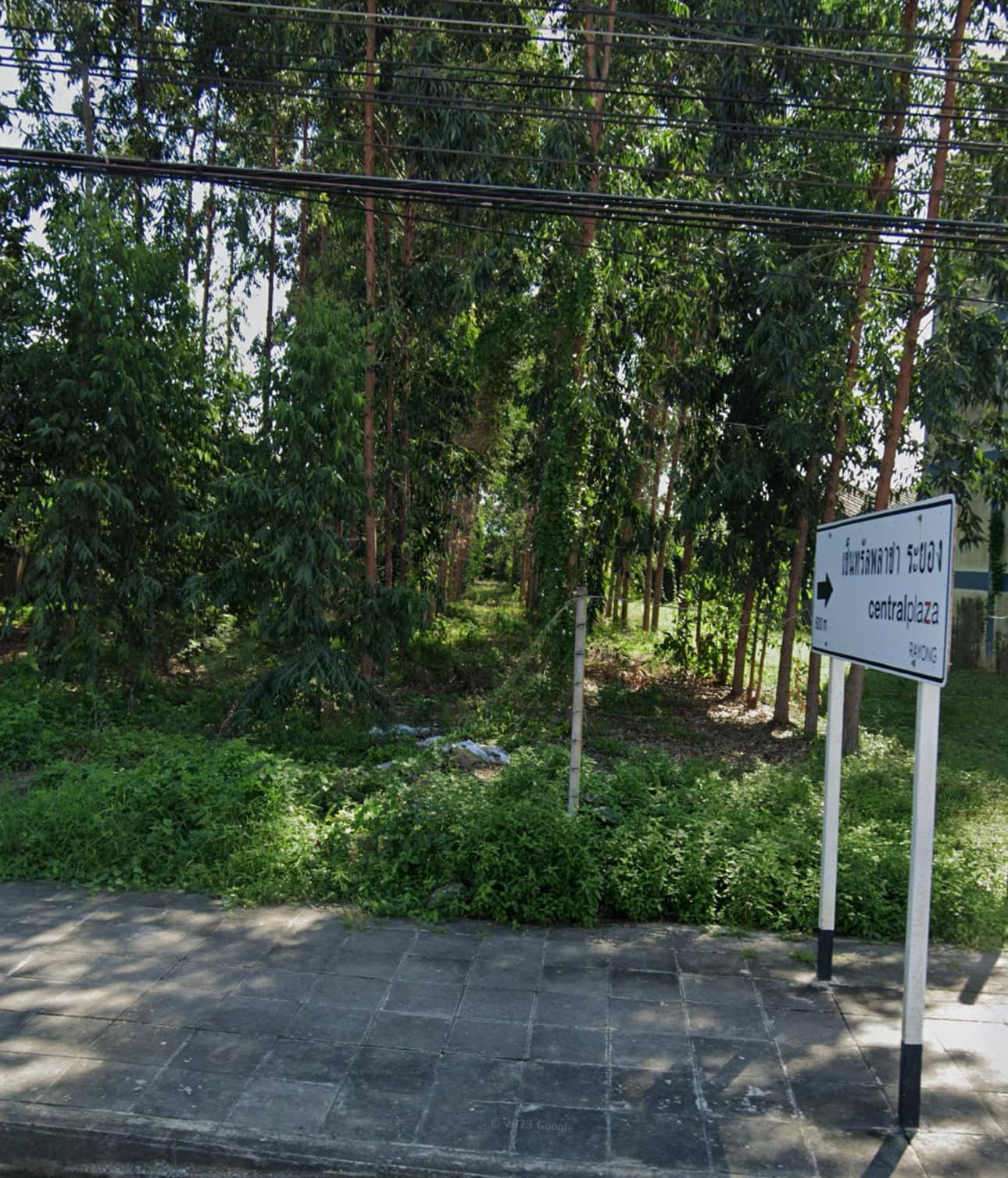ขายที่ดินสวยๆใจกลางเมืองระยองติดถนนใหญ่3574 หน้ากว้าง 40m 