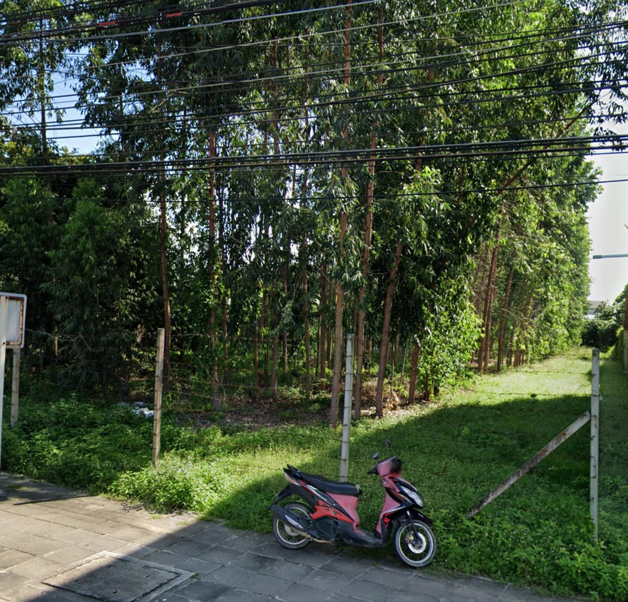 ขายที่ดินสวยๆใจกลางเมืองระยองติดถนนใหญ่3574 หน้ากว้าง 40m 
