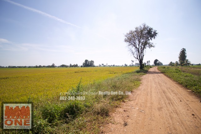 ขายที่ดิน แปลงมุม ติดถนนชลประทาน ต.ห้วยกรด อ.สรรคบุรี จ.ชัยนาท