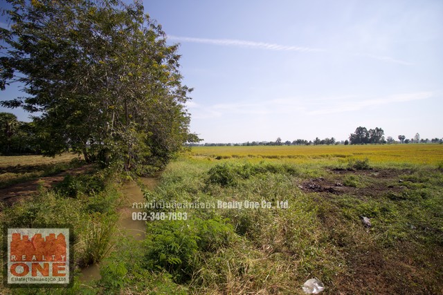 ขายที่ดิน แปลงมุม ติดถนนชลประทาน ต.ห้วยกรด อ.สรรคบุรี จ.ชัยนาท