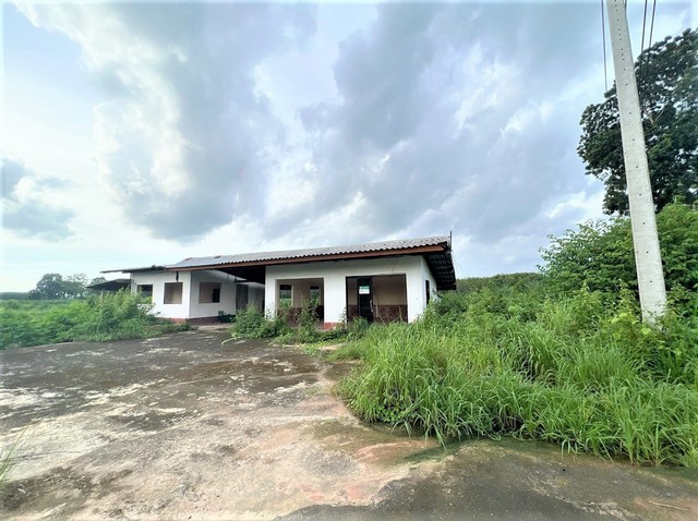 ขายบ้านเดี่ยว อำเภอนาเยีย อุบลราชธานี (PKK02-11280)