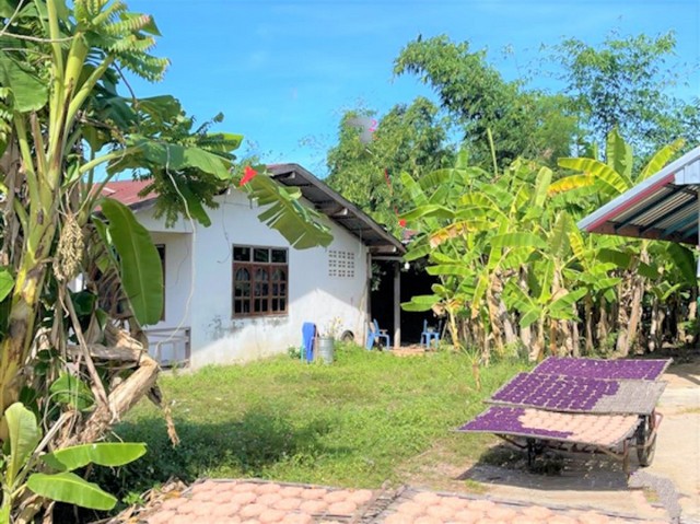 ขายบ้านเดี่ยว   อำเภอขุขันธ์ ศรีสะเกษ (PKK02-15725)