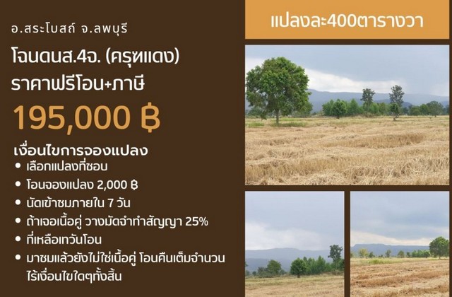 ขายที่ดินแบ่งแปลง เริ่ม 1ไร่ 195,000บาท ฟรีโอน ถนนหิน ต.นิยมชัย อ.สระโบสถ์ จ.ลพบุรี