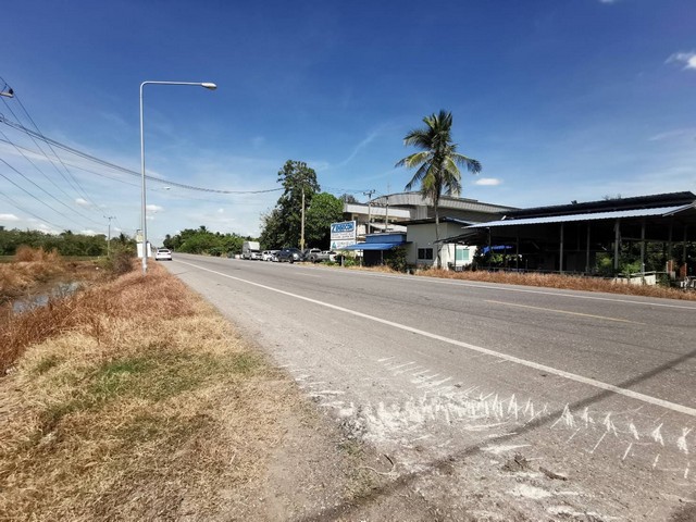 ที่ดิน 20 ไร่ คลอง 11 ลำลูกกา ฝั่งตะวันตก  ติดถนนลาดยาง 