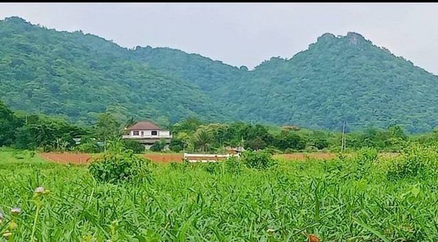 ขายที่วิวเขาสวยระดับร้อยล้านราคาถูก.. เหมือนสวรรค์บนดินมีอยู่จริง ตำบลท่าค้อ อำเภอแก่งคอย สระบุรี