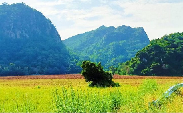 ขายที่วิวเขาสวยระดับร้อยล้านราคาถูก.. เหมือนสวรรค์บนดินมีอยู่จริง ตำบลท่าค้อ อำเภอแก่งคอย สระบุรี
