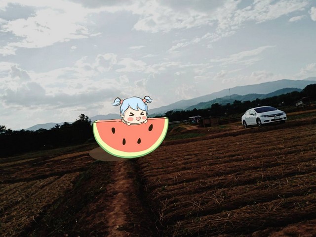 ทรัพย์สวยริมน้ำน่านเมืองเหนือจังหวัดน่าน ท่าวังผา น้ำใสไหลรินตลอดปี  ตำบลศรีภูมิ อ.ท่าวังผา จ.น่าน 850000 บาท สวยมากวิวน้ำน่านฟ้าใสอากาศดี