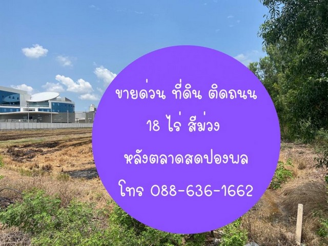 ขายด่วน ที่ดิน ติดถนน 18 ไร่ ฉะเชิงเทรา จาก ถนนสุวิทวงศ์ แยก ตลาดสดปองพล 4 กม. Land for Sale for Factory Warehouse 