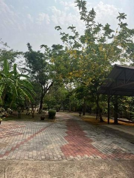 ขายที่ดินย่านท้ายหาด แม่กลอง สมุทรสงคราม ติดแม่น้ำแม่กลอง 1-3-99 ไร่ และที่งอกริมตลิ่งพร้อมสิ่งปลูกสร้าง