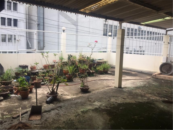 ขายอาคารพาณิชย์ 4 ชั้น เนื้อที่ 59.1 ตร.ว. ย่านสีลม สุรวงค์ ศาลาแดง ช่องนนทรี ใกล้เซ็นทรัลสีลม ศาลาแดง 