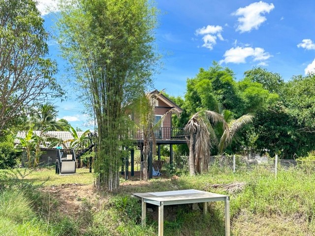 TD534  ขายที่ดินแปลงงาม   :         บ้านโป่ง ราชบุรี
