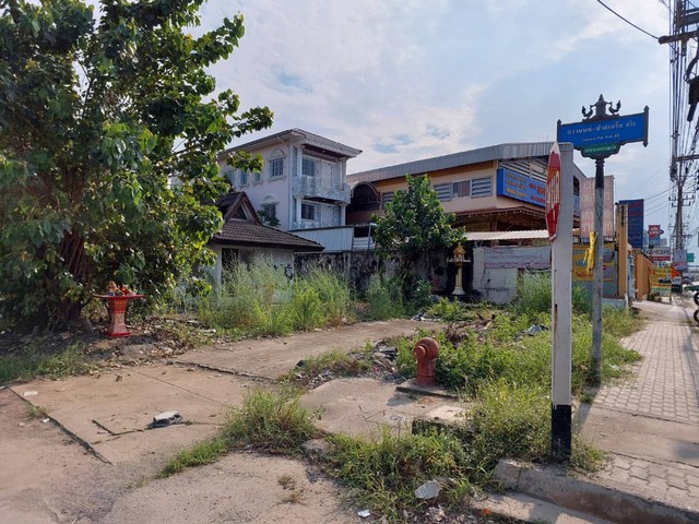 TD533  ขายที่ดินแปลงงาม     :        ปากเกร็ด นนทบุรี