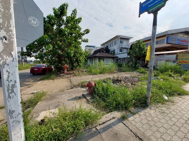 TD533  ขายที่ดินแปลงงาม     :        ปากเกร็ด นนทบุรี