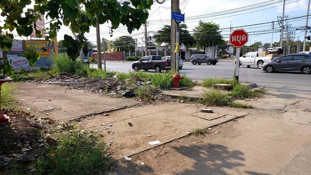 TD533  ขายที่ดินแปลงงาม     :        ปากเกร็ด นนทบุรี
