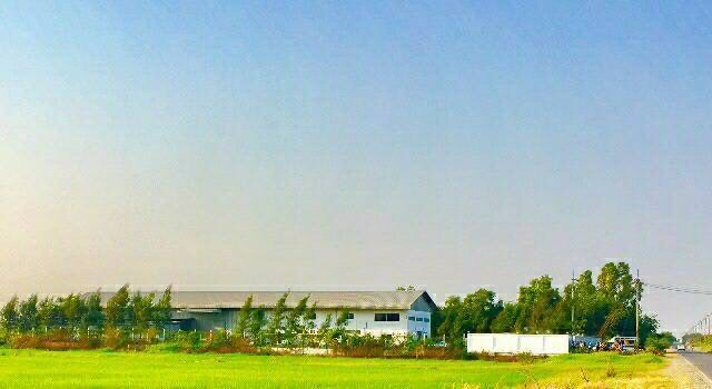 โรงงานให้เช่าโรงงานพร้อมใบประกอบการ รง.4 อยู่ตำบลคลองหลวงแพ่งอำเภอเมืองจังหวัดฉะเชิงเทรา