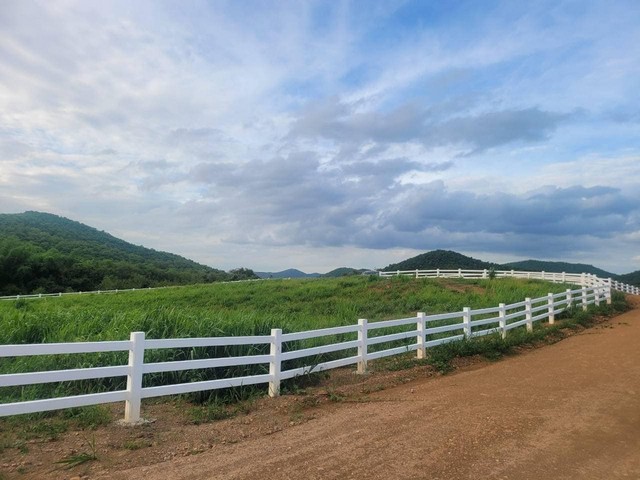 ที่ดินแบ่งขาย จ.เพชรบุรี  ที่ดินตั้งอยู่ที่ ต.กลัดหลวง อ.ท่ายาง จ.เพชรบุรี promotion ถึง สิ้นปีนี้ 