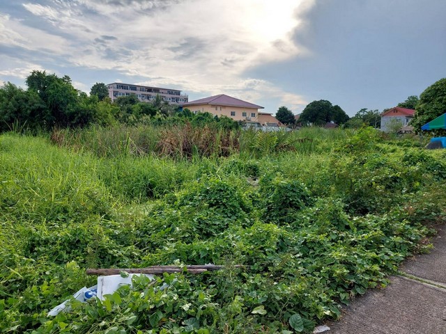 ขาย/เช่า ที่ดิน 225 ตร.วา แปลงมุม ติดถนน2 ด้าน  แบริ่ง 58/5  สำโรงเหนือ   สมุทรปราการ  ZT276