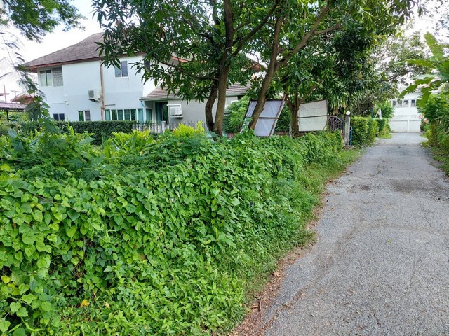 ขายด่วนที่ดิน  296.3 ตร.วา ถ.ประชาราษฎร์สาย1  ใกลัรัฐสภา  บางซื่อ   ZT278