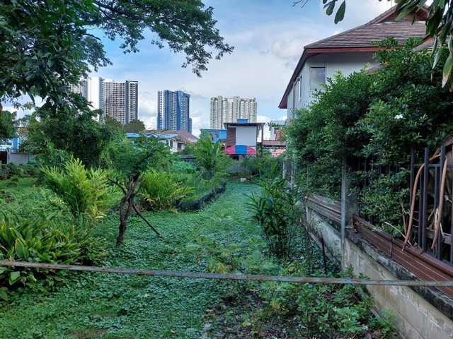 ขายด่วนที่ดิน  296.3 ตร.วา ถ.ประชาราษฎร์สาย1  ใกลัรัฐสภา  บางซื่อ   ZT278