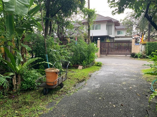 ขายด่วน ที่ดินพร้อมสิ่งปลูกสร้าง  370 ตร.วา ถ. ประชาราษฎร์ สาย1 ซ.10 บางซื่อ  ZT277