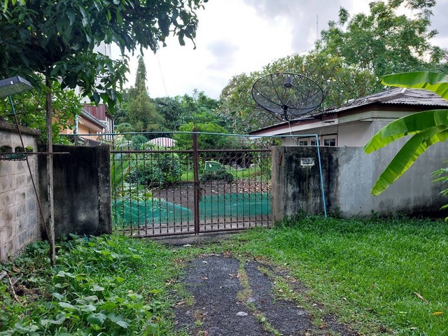 ขายด่วน ที่ดินพร้อมสิ่งปลูกสร้าง  370 ตร.วา ถ. ประชาราษฎร์ สาย1 ซ.10 บางซื่อ  ZT277