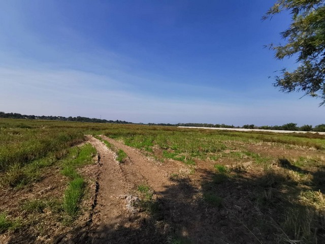 ขายที่นา​ ทำเลดีที่สวย​ ไม่ไกลในเมือง ติดถนนหมายเลข​ 1173 ขายที่นา​ ทำเลดีที่สวย​  เมืองชุม อ.เวียงชัย​ จ.เชียงราย