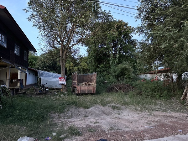 ขายที่ดิน 66 ตร.ว. ตลาดชุมชนโนนผักหอม ตำบลวังสามหมอ อำเภอวังสามหมอ จังหวัดอุดรธานี 